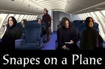 Snapes om a plane