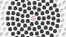 95