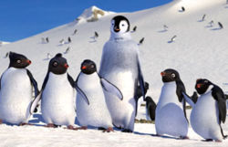 Happyfeet2