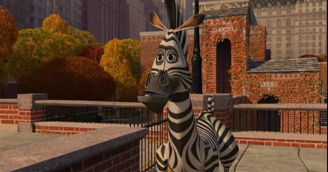 Image - Zebra 1.jpg | Madagascar Wiki | FANDOM powered by Wikia