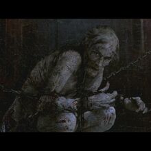Dorian Gray Penny Dreadful Wiki Fandom