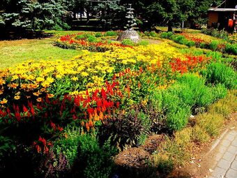 The Garden Andrew Marvell Penny S Poetry Pages Wiki Fandom