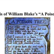 A Poison Tree Blake Penny S Poetry Pages Wiki Fandom