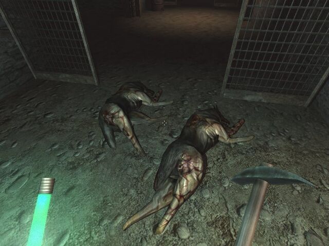 File:Dog1.jpg