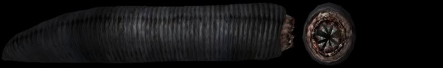 File:Penumbra TheGreyRockWormFront-Sideplusinfo smaller.png