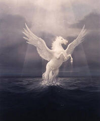 Pegaso02-w300h365