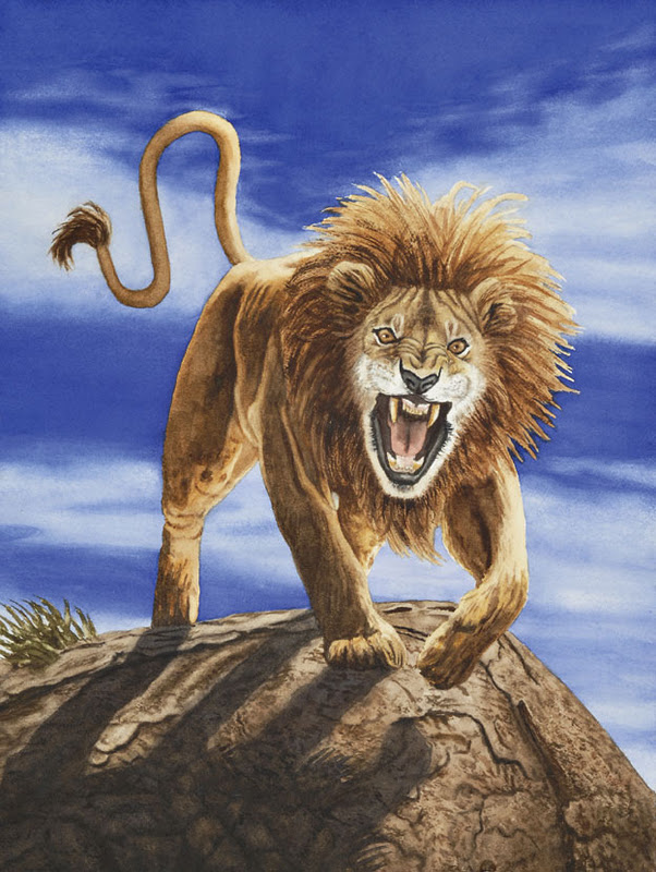 Lion king slot