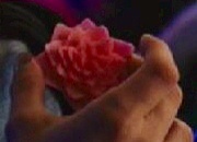 Loto