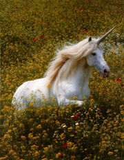 Unicornio