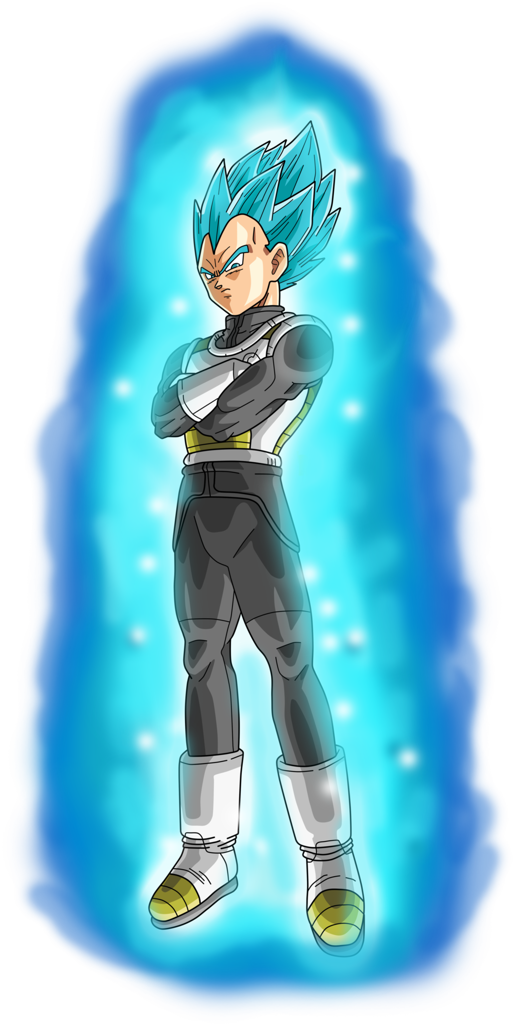 Vegeta Perfect Power Level List Wiki Fandom