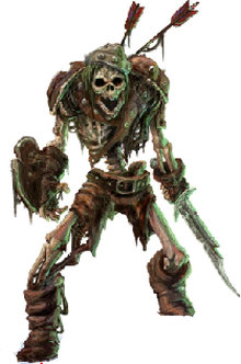 Skeleton