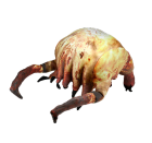 Headcrab