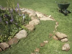 Path covered with clippings