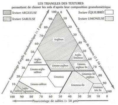 Triangle