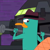 Get Wallpaper Perrysodes Cheer Up Candace Transcript Perrysodes Wikia Fandom For Android