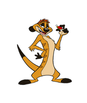 Timon