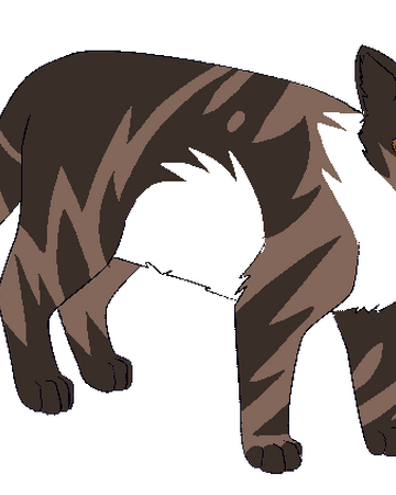 Thistledawn Personal Warriors Ocs Wiki Fandom
