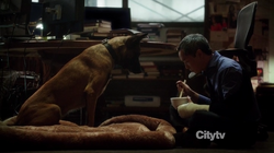 2x07 - Oso y Tao