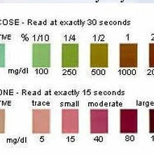 dog diabetes urine test strips