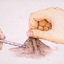 Injecting Insulin Diabetes In Pets Fandom