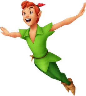 peter werth black shirt