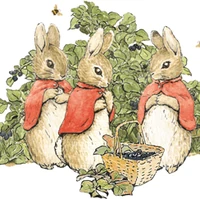 Cottontail Peter Rabbit Friends Wiki Fandom