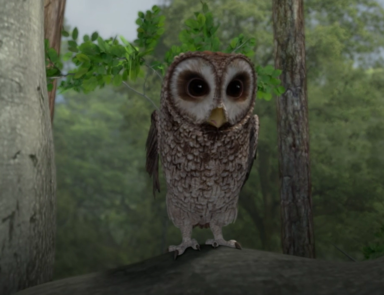 Image - Mr-Old-Brown-Owl-From-Peter-Rabbit-Image.png | Peter Rabbit (TV