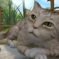 Mr Mcgregor S Cat Peter Rabbit Tv Series Wiki Fandom