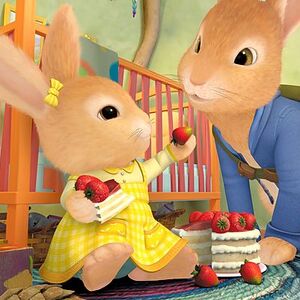 peter rabbit cottontail plush