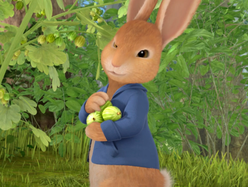 Image - PETER-RABBIT.png | Peter Rabbit (TV series) Wiki | FANDOM powered by Wikia