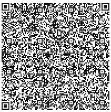 QR Code 1