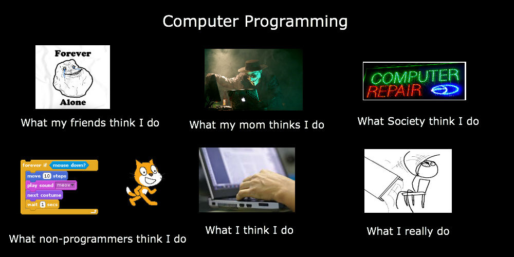 image computer programming meme jpg petit computer wiki fandom brain size meme