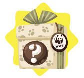 Wwf mystery box