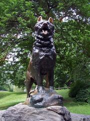 449px-Balto