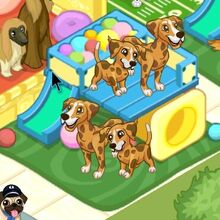 Goldmation Pet Shop Story Wiki Fandom