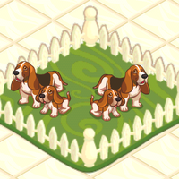Basset Hound Pet Shop Story Wiki Fandom
