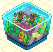 Sea Turtle