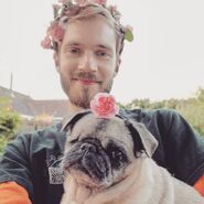 Pewdiepie Pewdiepie Wiki Fandom Powered By Wikia