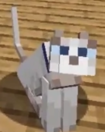 Sven The Cat Pewdiepie Wiki Fandom
