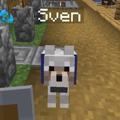 Cool Minecraft Names For Girls