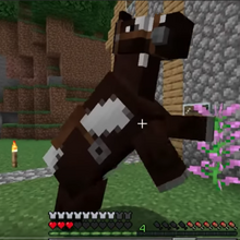 Jorgen-mc-square-0