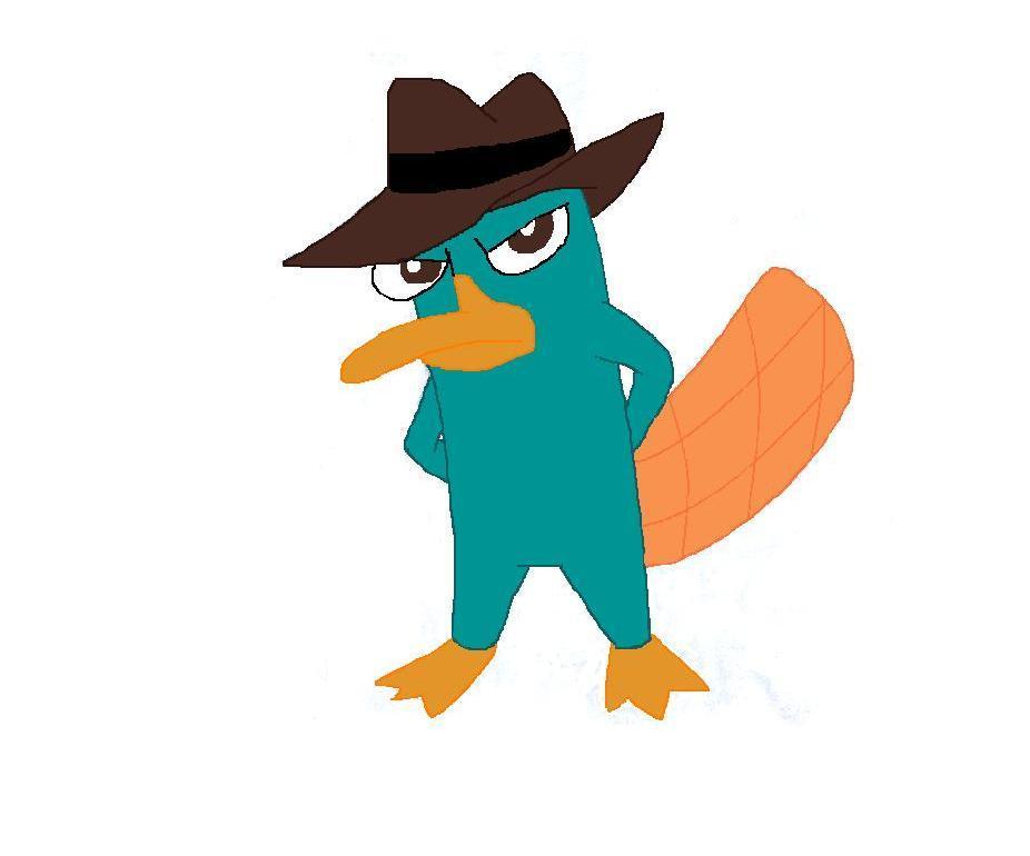 image my drawing of perry perry the platypus 6951529 926 770 jpg