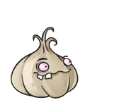 Knoblauch Pflanzen gegen Zombies Wiki FANDOM powered by Wikia
