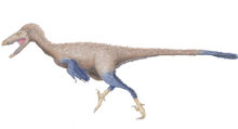 Hand drawn Troodon