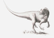 Ceratosaurus
