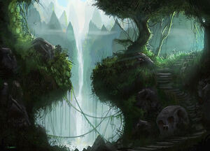 Jungle trail
