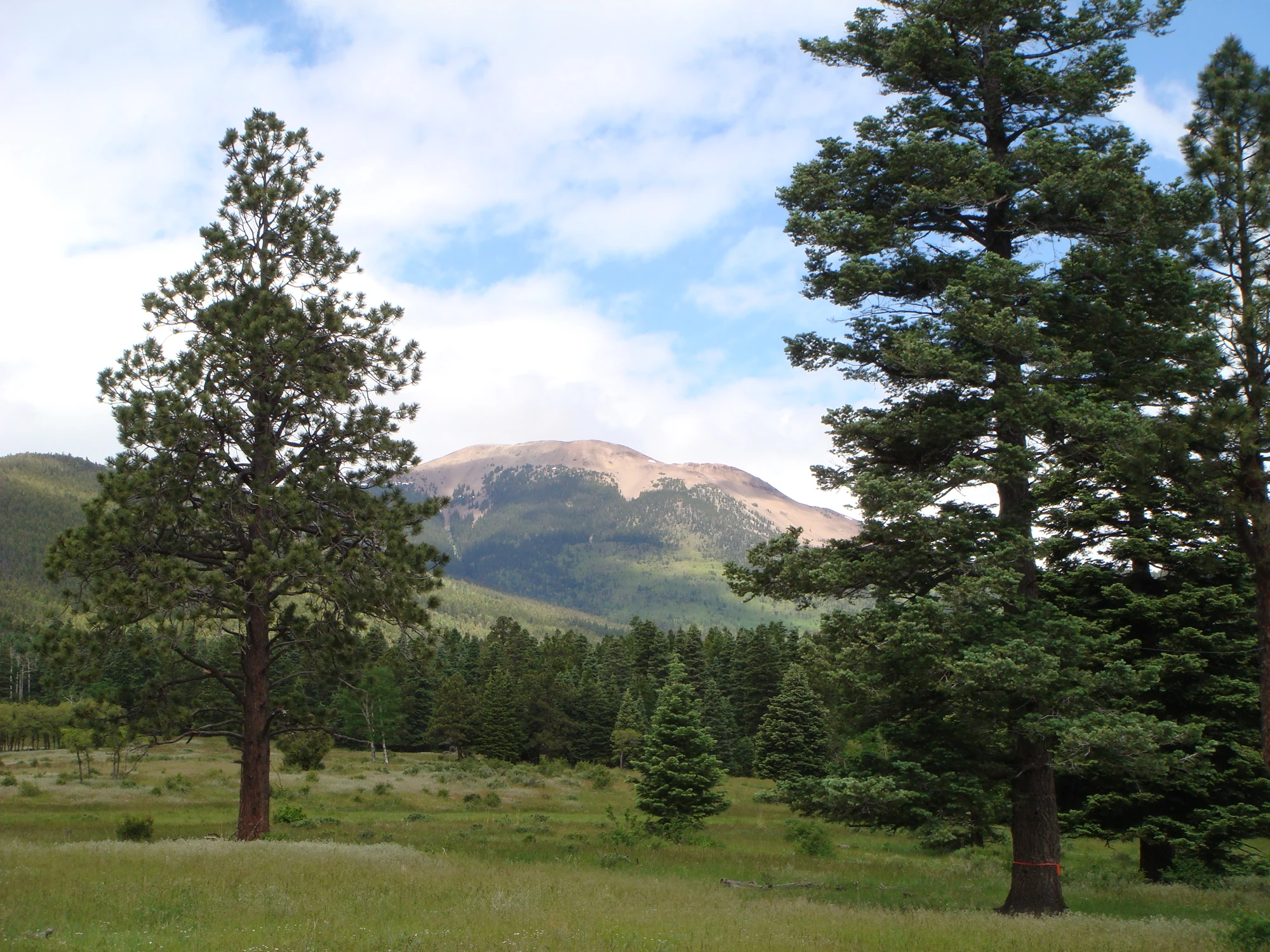 Baldy Mountain Philwiki FANDOM powered by Wikia