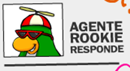 Rookie responde