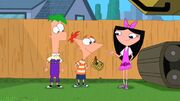 Gallery:The Secret of Success | Phineas and Ferb Wiki | FANDOM powered ...