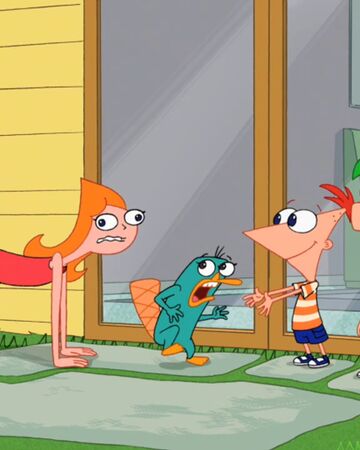 Does This Duckbill Make Me Look Fat Phineas And Ferb Wiki Fandom